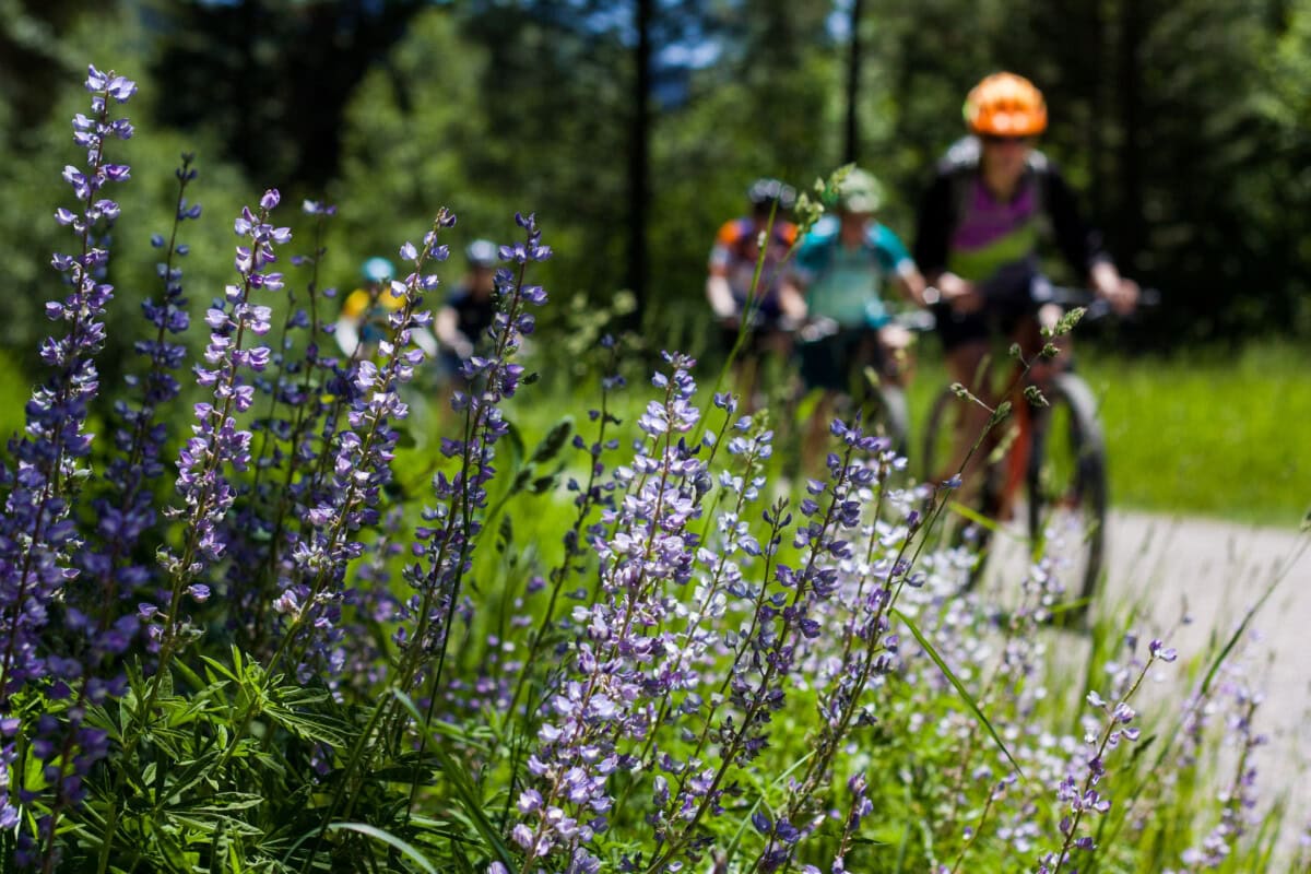 outdoor and recreational things to do in missoula